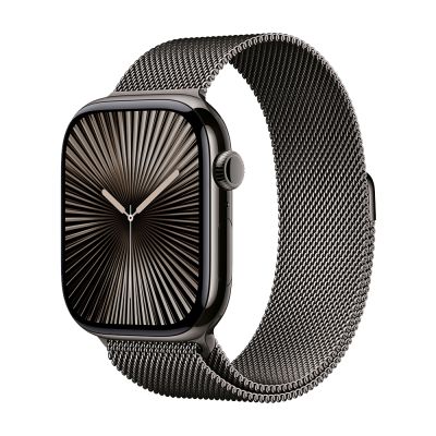 Фото 1 — Apple Watch Series 10 GPS + Cellular 46mm Slate Titanium Case with Slate Milanese Loop